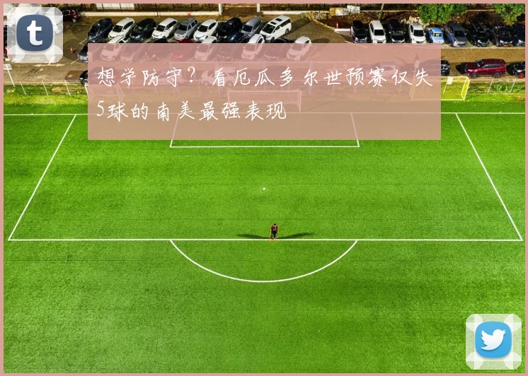 想学防守?看厄瓜多尔世预赛仅失5球的南美最强表现